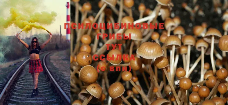 Псилоцибиновые грибы Magic Shrooms  дарнет шоп  Ялта 